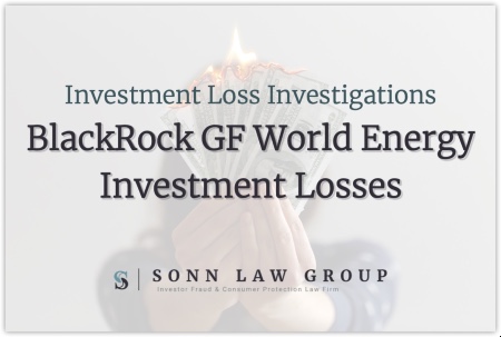 BlackRock GF World Energy Fund Investment Losses