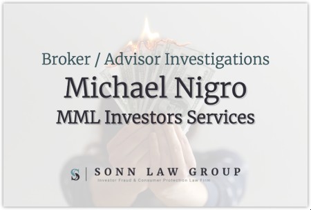 Single fraud investigation service december 2020